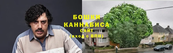 стафф Новокубанск