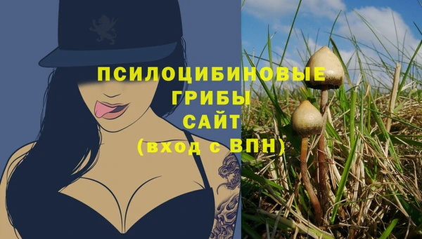 ALPHA-PVP Нязепетровск