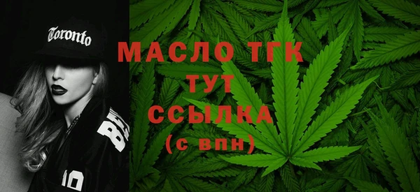 гашик Новодвинск
