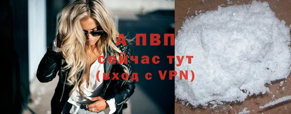 сатива Осташков