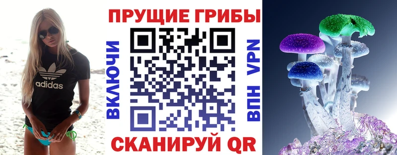 Псилоцибиновые грибы Psilocybine cubensis  Лысьва 