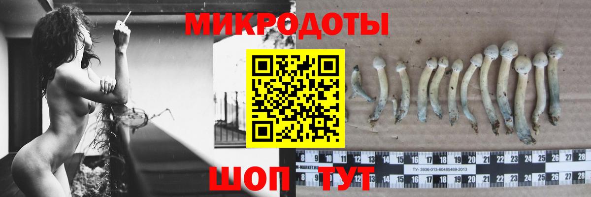Лысьва  Галлюциногенные грибы Psilocybe  Псилоцибиновые грибы Cubensis  Вход с VPN 